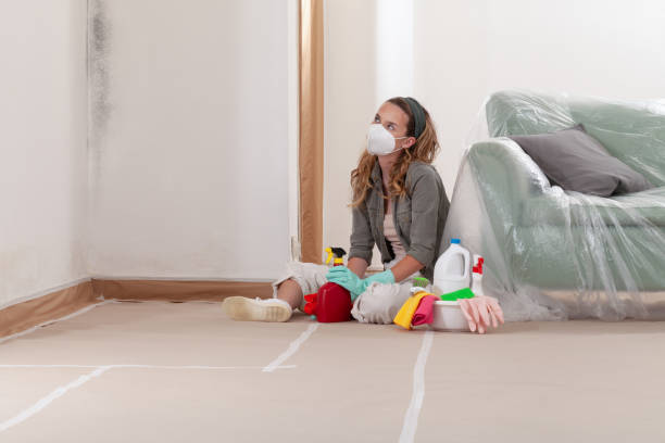 Reliable Mold Removal contractor in Concord, MI by Mold Remediation HQ